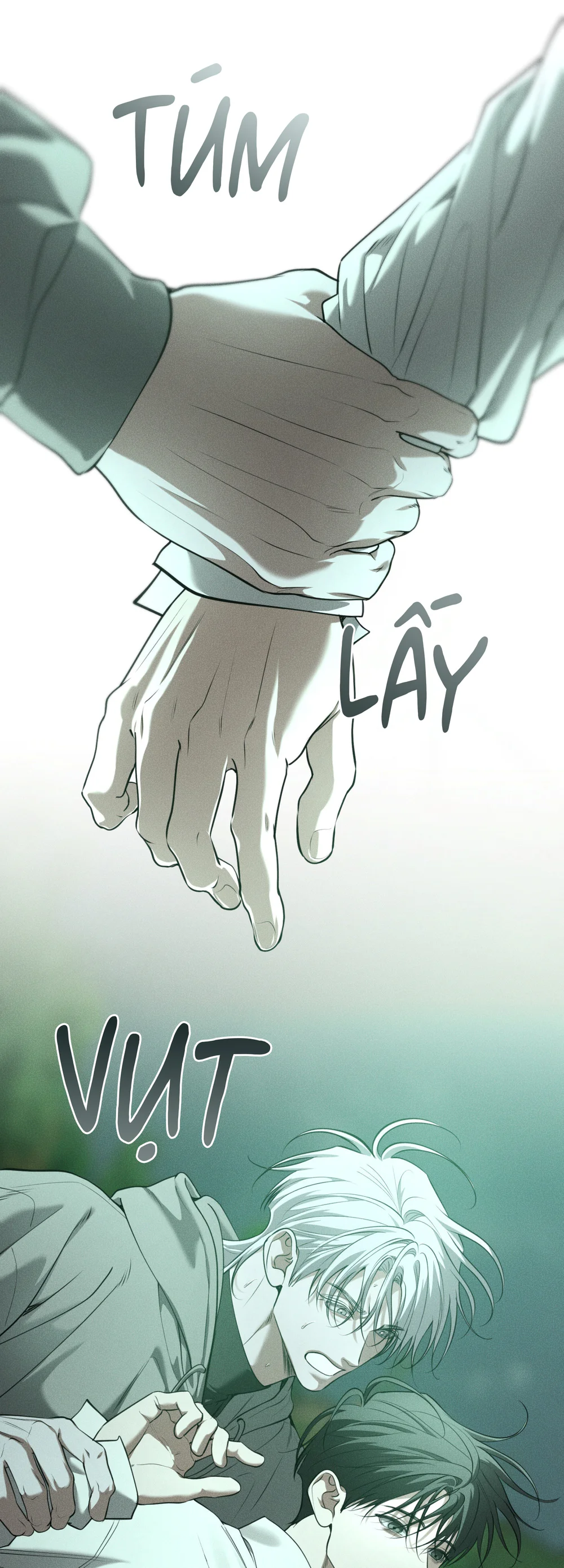 Đọc truyện DEAR, TEDDY BEAR - Chapter 61