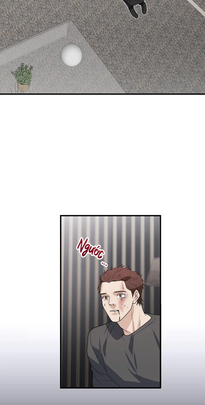 Đọc truyện Tuyển Tập Manhwa Ngắn Nhà Mèo Méo Meo Mèo Meo - Chapter 16