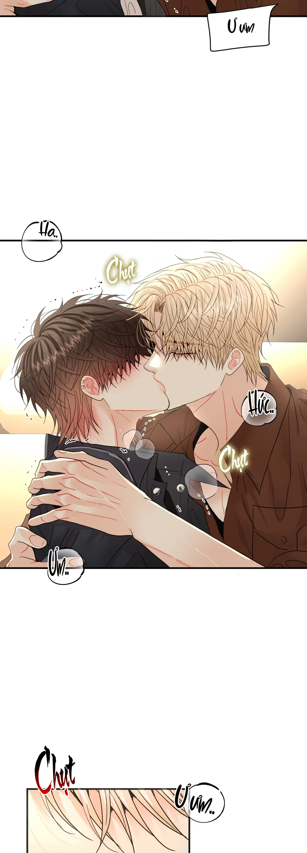 Đọc truyện (ABO) Quo Vadis, Domine? - Chapter 17