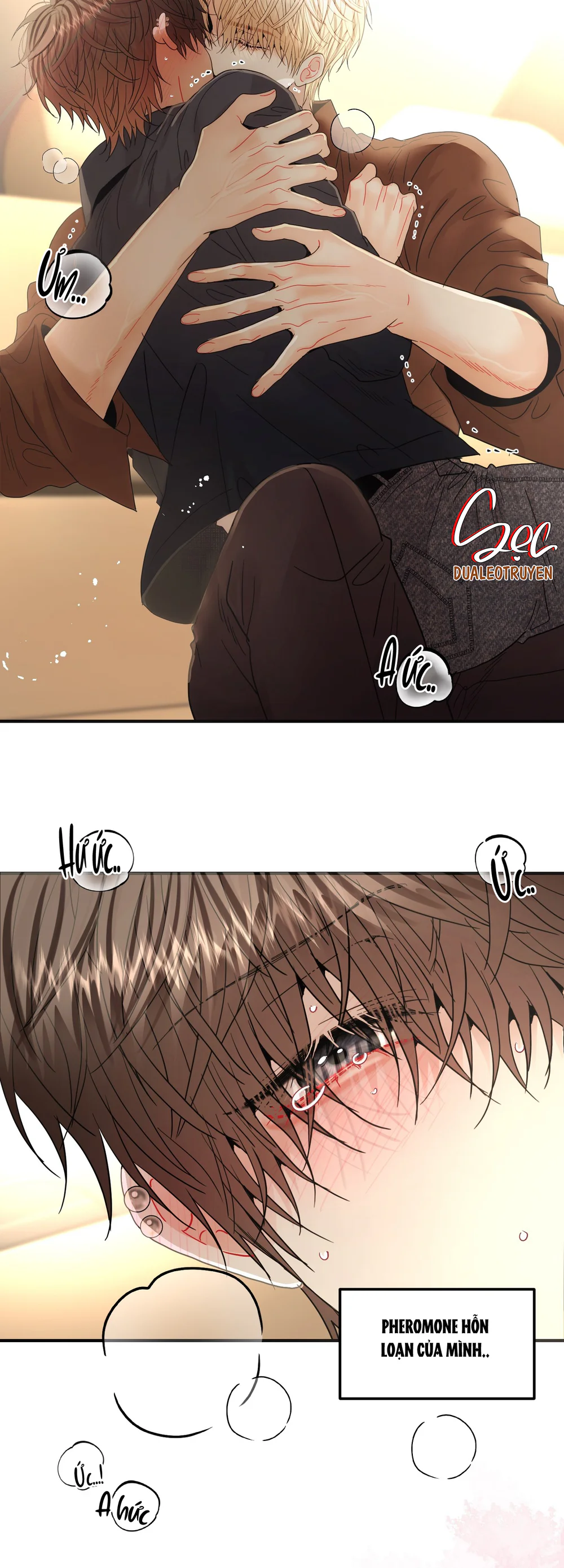 Đọc truyện (ABO) Quo Vadis, Domine? - Chapter 17