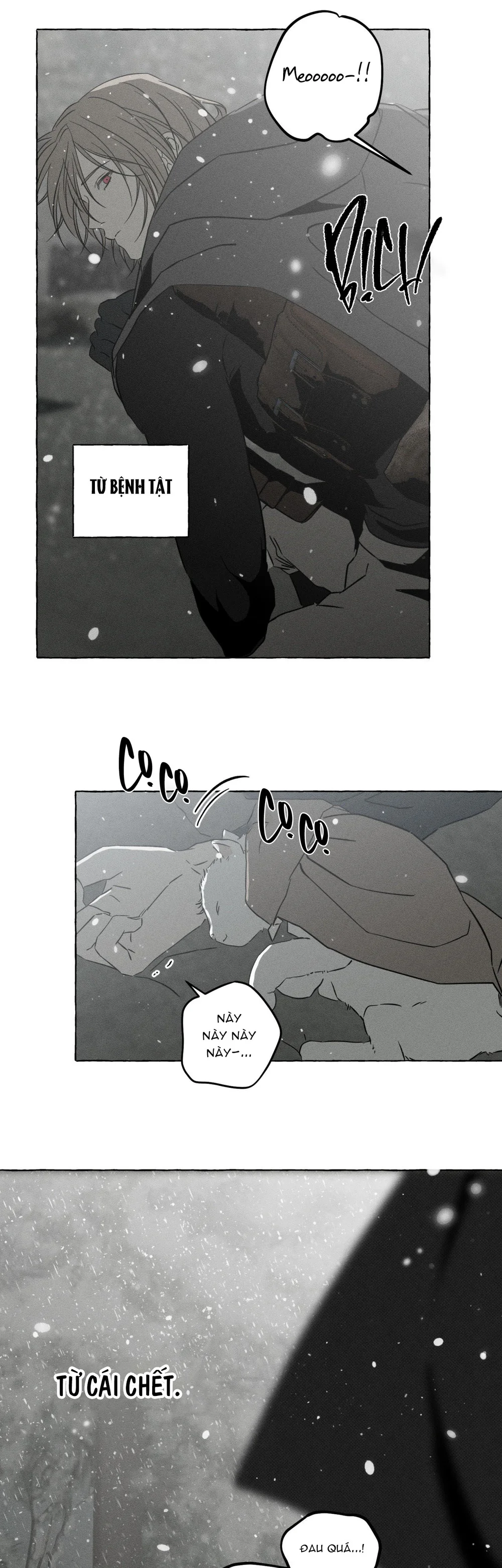 Đọc truyện XƯƠNG VÀ CÁNH HOA - Chapter 72