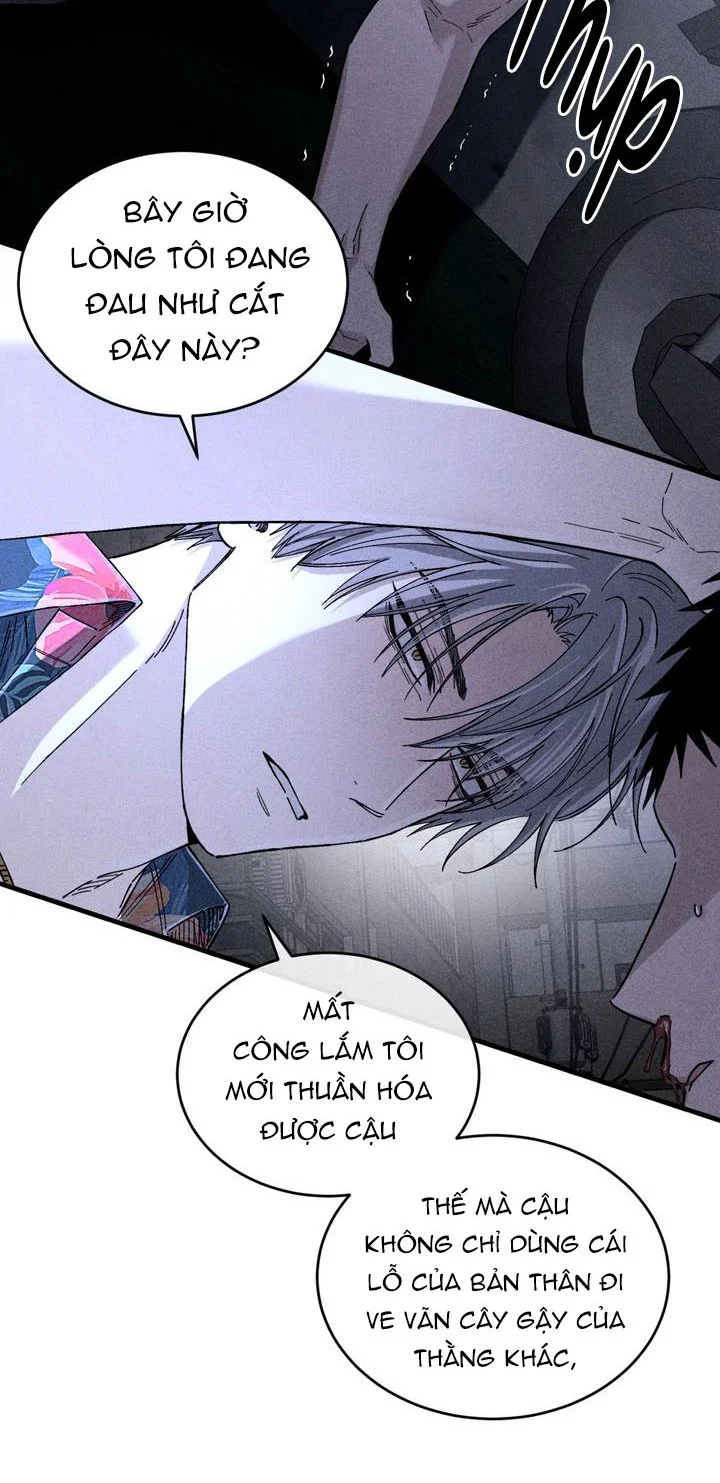 Đọc truyện KẺ SAY MÊ THÂN XÁC - Chapter 12