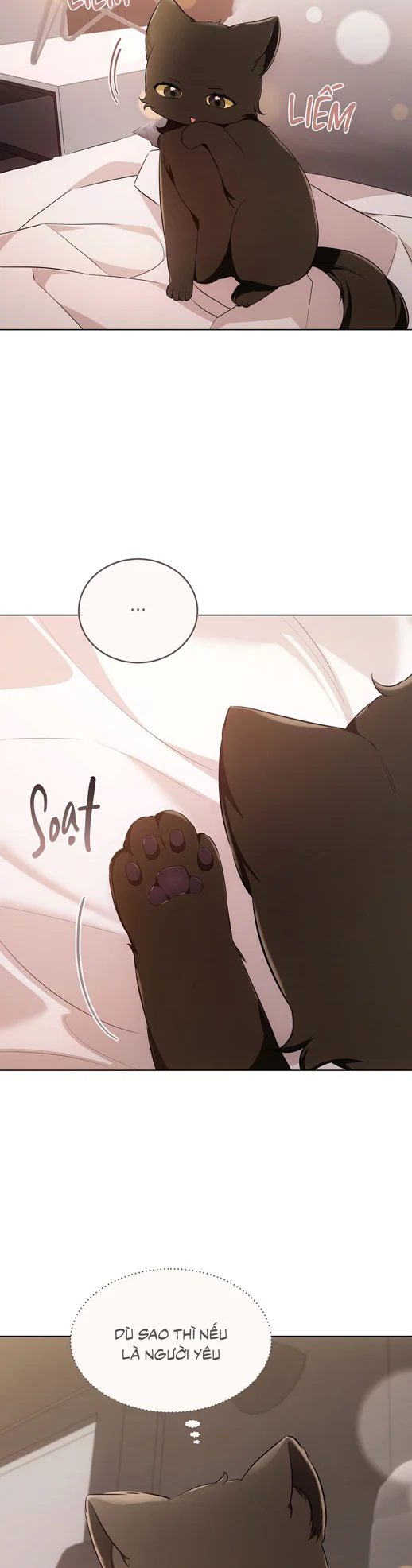 Đọc truyện LIỆU PHÁP TRỊ LIỆU MÈO - Chapter 18