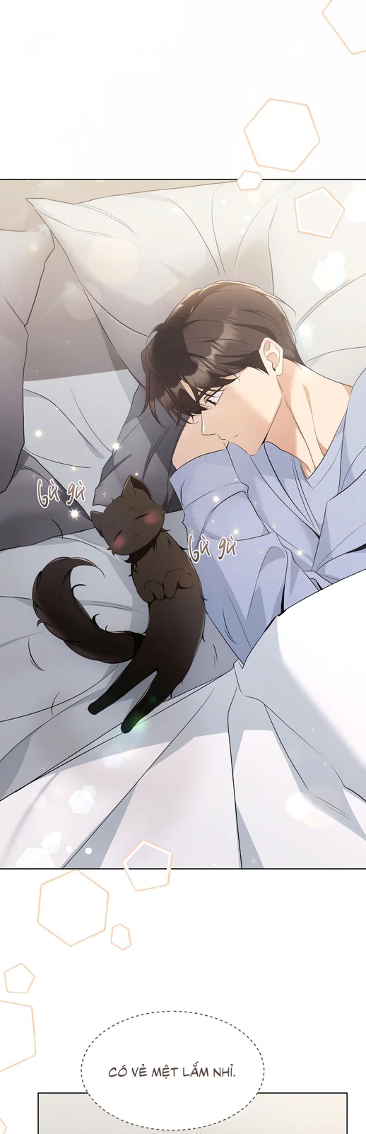 Đọc truyện LIỆU PHÁP TRỊ LIỆU MÈO - Chapter 18