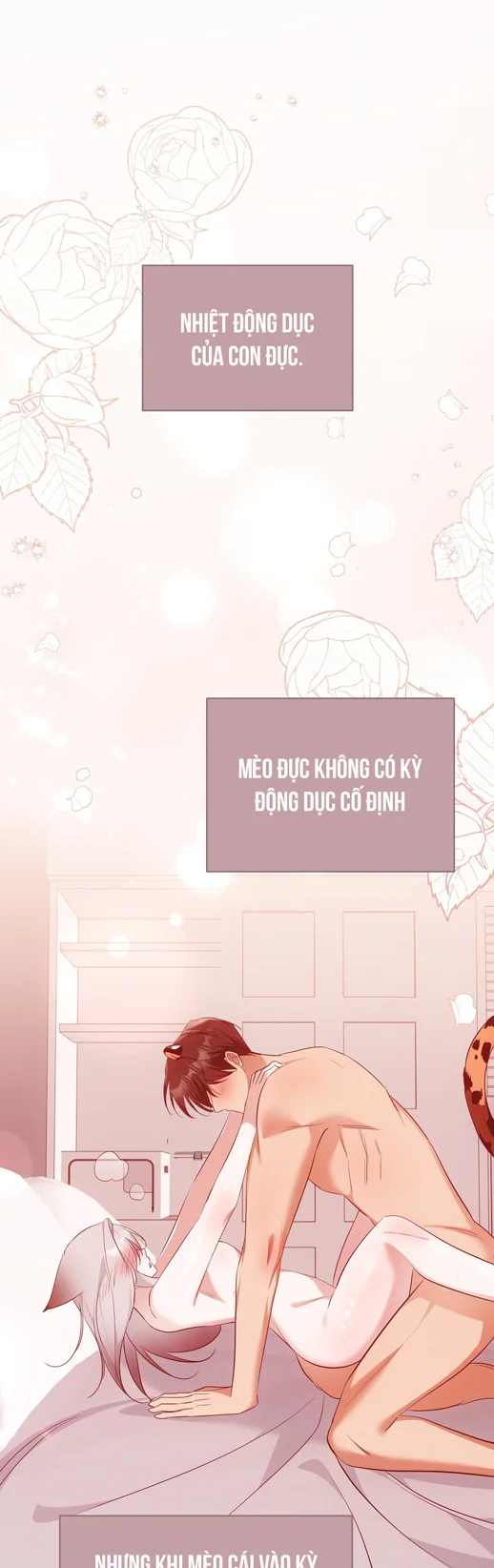 Đọc truyện LIỆU PHÁP TRỊ LIỆU MÈO - Chapter 18