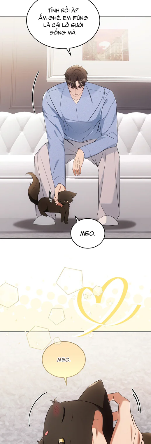 Đọc truyện LIỆU PHÁP TRỊ LIỆU MÈO - Chapter 18