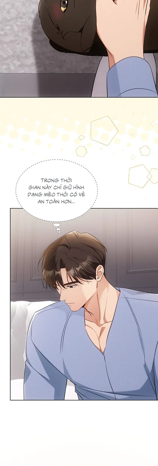 Đọc truyện LIỆU PHÁP TRỊ LIỆU MÈO - Chapter 18