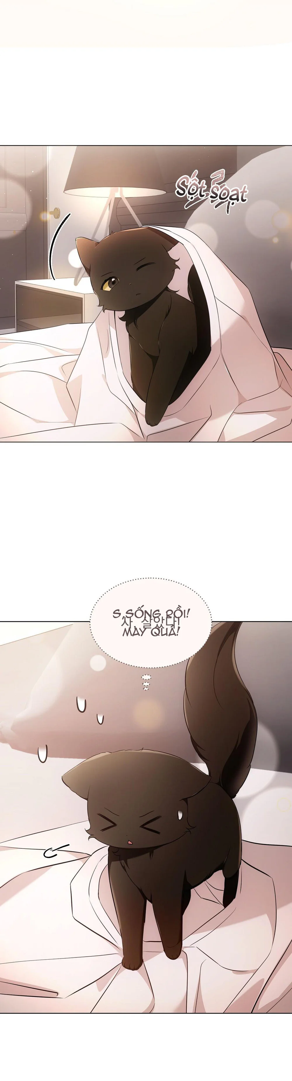 Đọc truyện LIỆU PHÁP MÈO - Chapter 18
