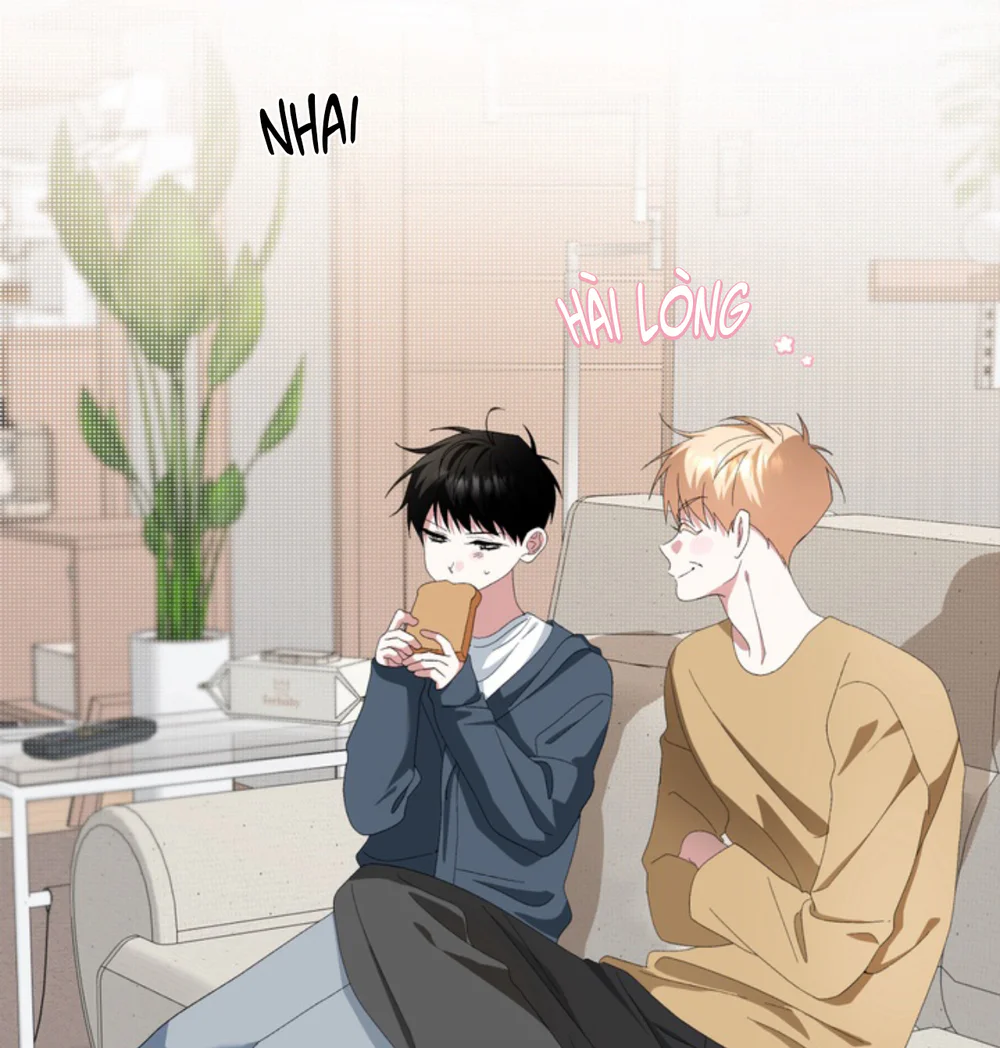 Đọc truyện XIN HÃY YÊU THƯƠNG DÙ TÔI LÀ CHUỘT - Chapter 22