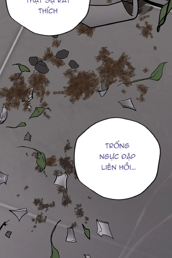 Đọc truyện HONEY BEAR - Chapter 89