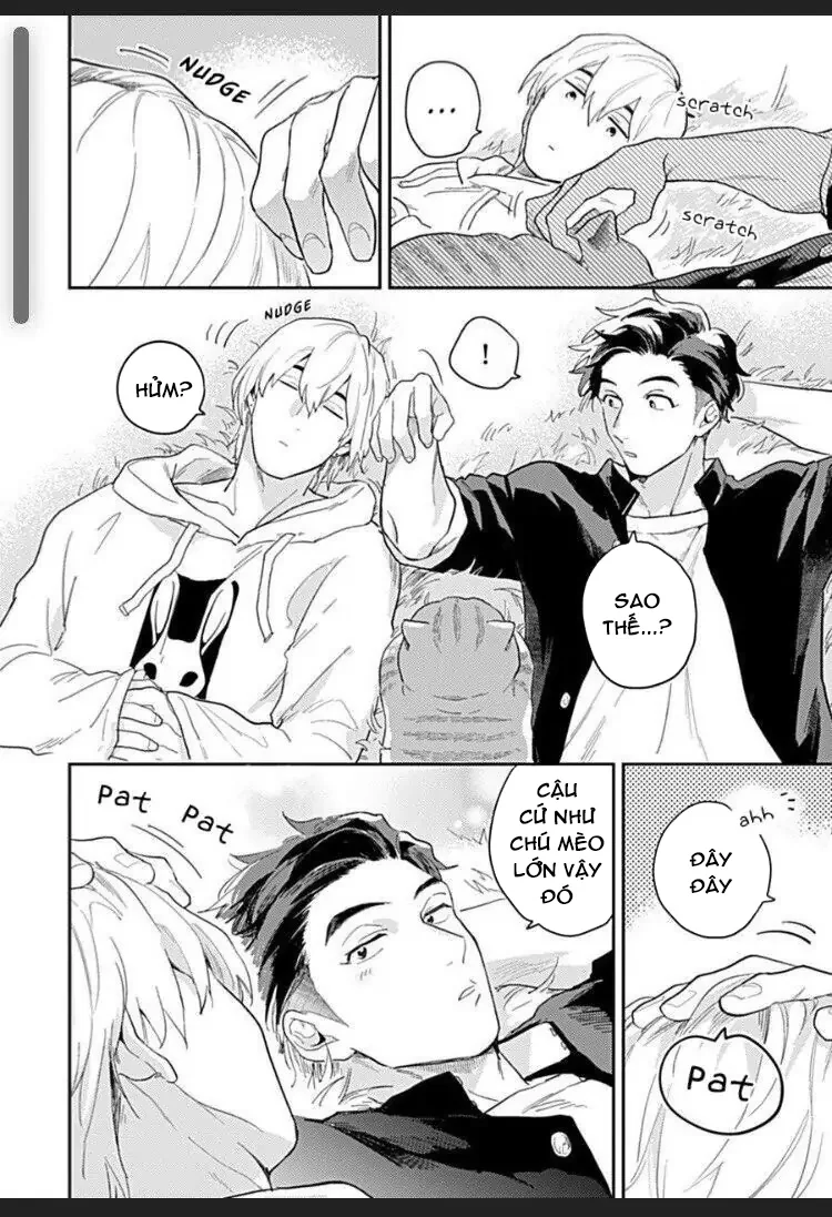 Đọc truyện Cuộc Đại Chiến Romeo Và Juliet Ở Ven Sông - Chapter 3