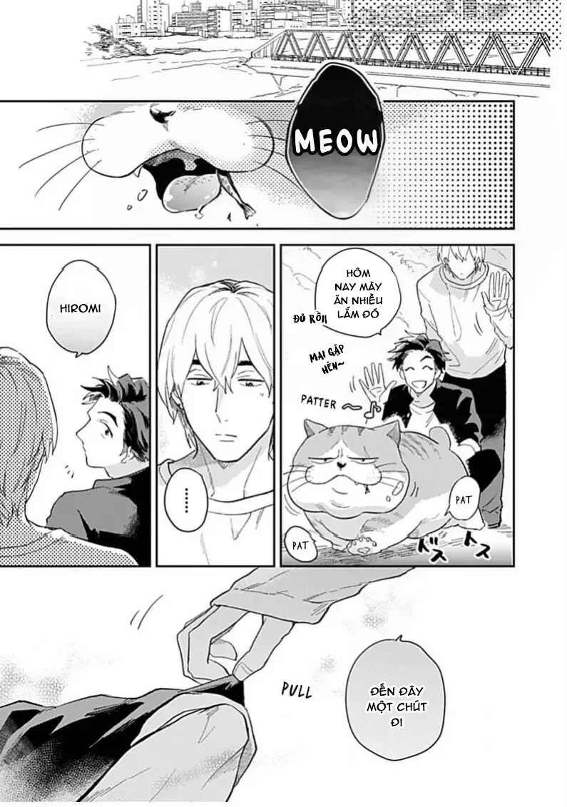 Đọc truyện Cuộc Đại Chiến Romeo Và Juliet Ở Ven Sông - Chapter 3