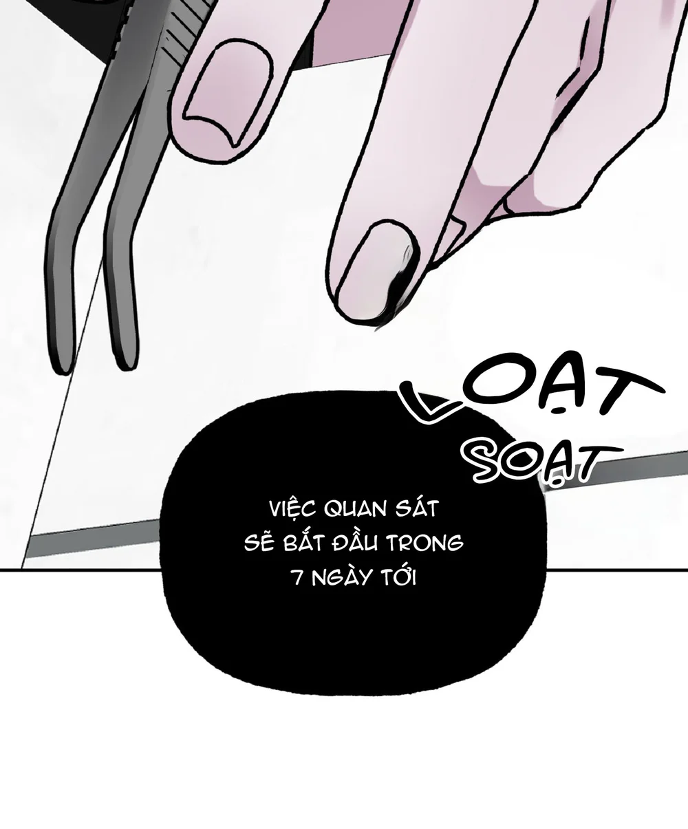 Đọc truyện Đối Tượng Quan Sát Trong 7 Ngày - Chapter 1