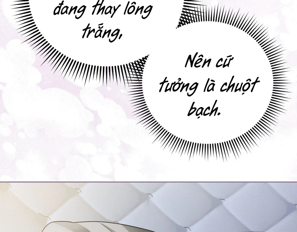 Đọc truyện Cảnh Báo Thú Săn Mồi - Chapter 17
