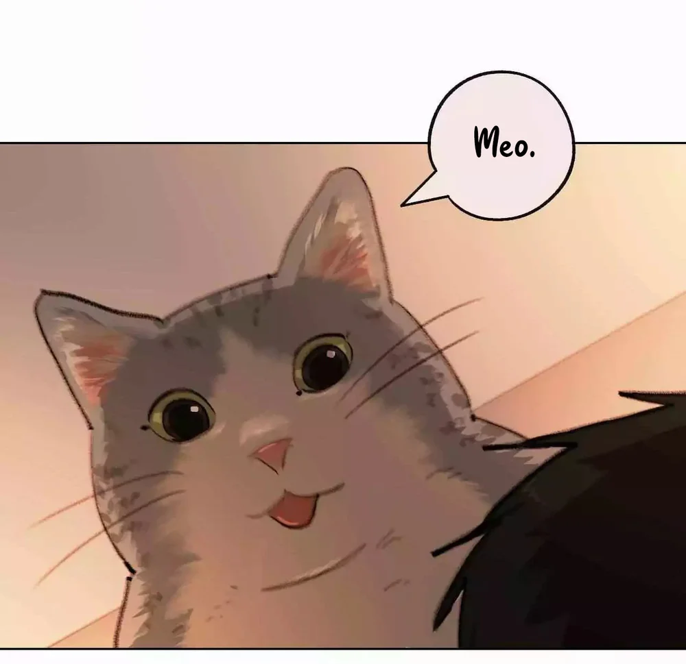 Đọc truyện Hạ Đầu Mùa - Chapter 33