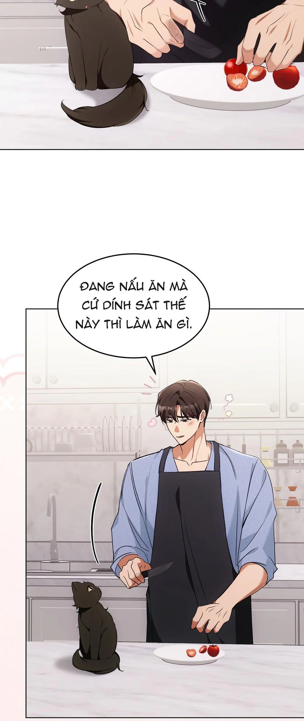 Đọc truyện LIỆU PHÁP MÈO - Chapter 19
