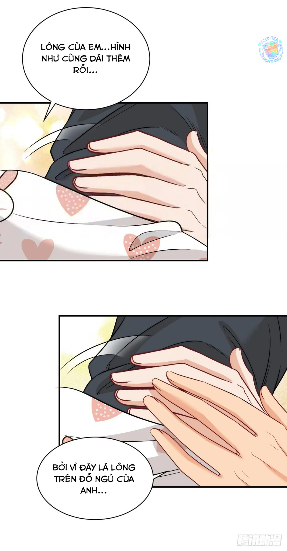 Đọc truyện Ký túc xá nam phòng 303 - Chapter 269