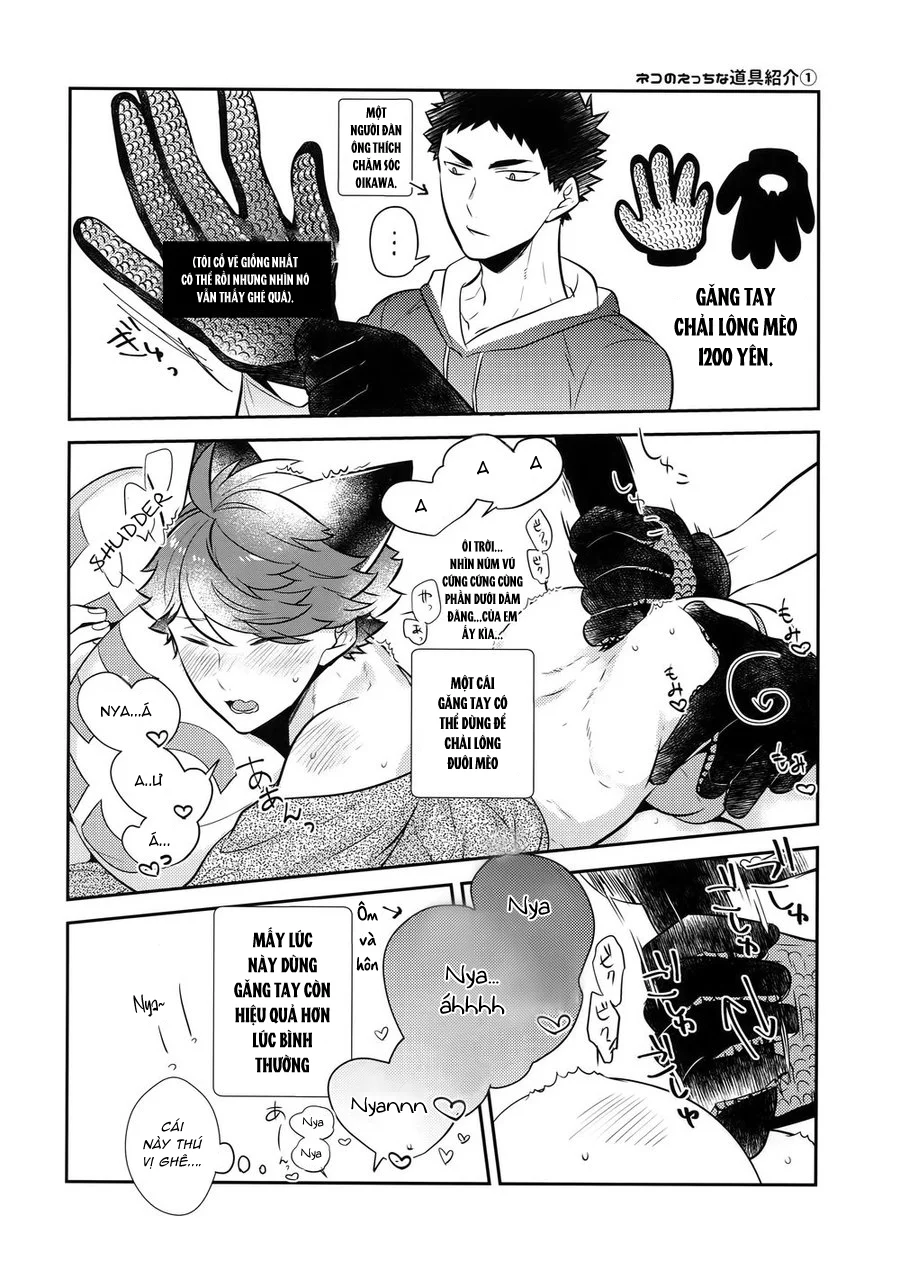 Đọc truyện Cho 50k Couple Lộn Xộn - Chapter 59