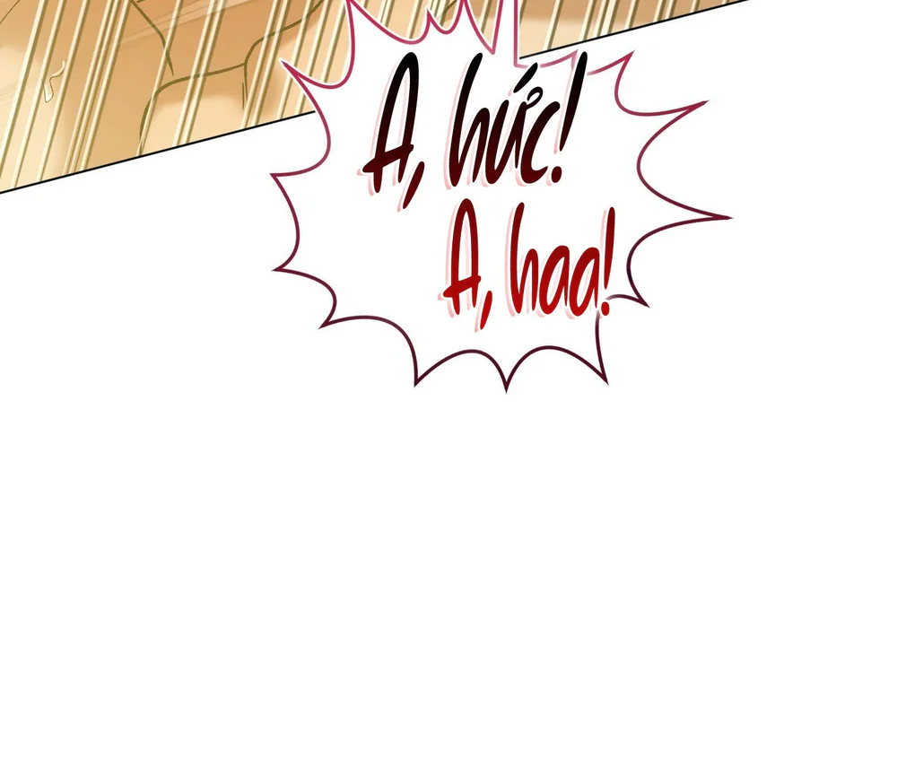 Đọc truyện (ABO) When Life Gives You Tomatoes - Chapter 5