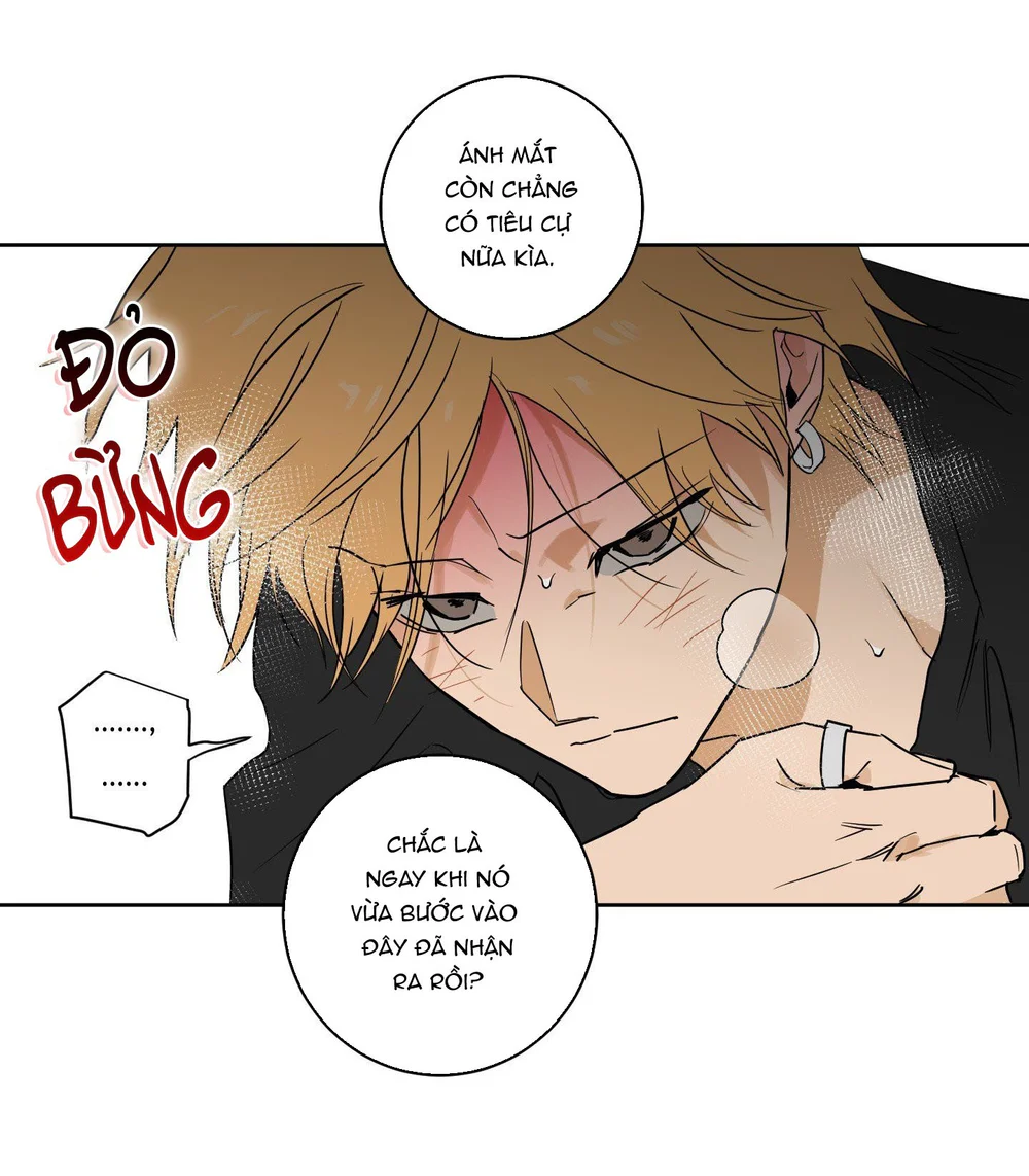 Đọc truyện FULL BOOK - Chapter 23