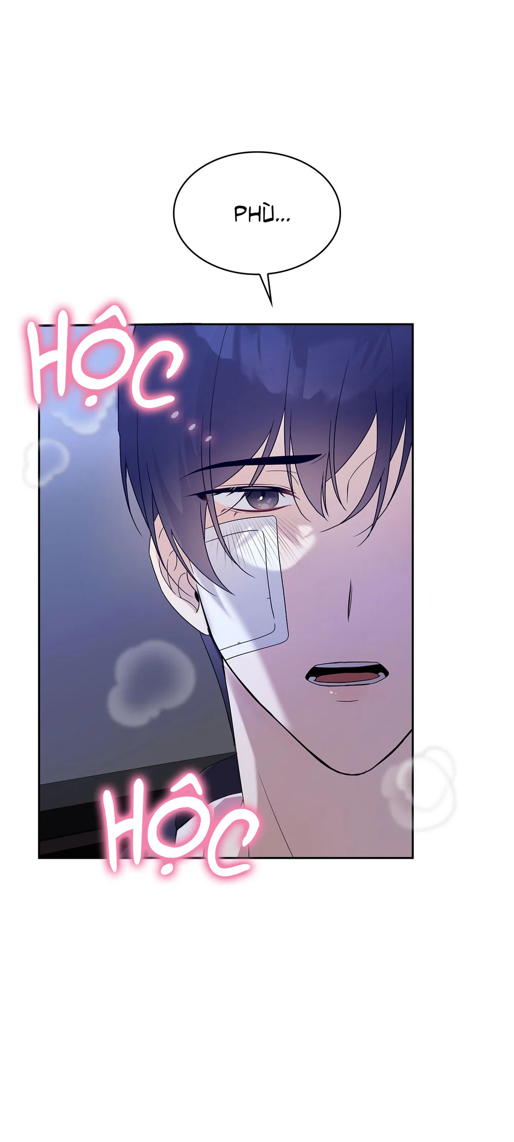 Đọc truyện Tôi Là Top Phụ Bị Điên Đây - Chapter 13