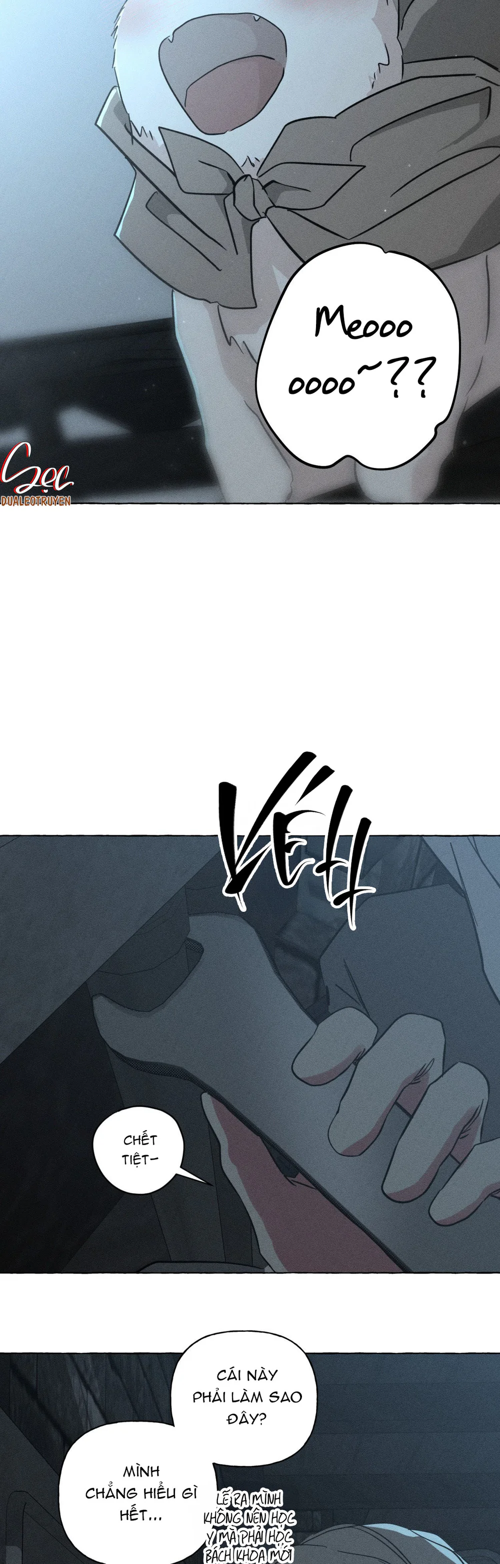 Đọc truyện XƯƠNG VÀ CÁNH HOA - Chapter 74