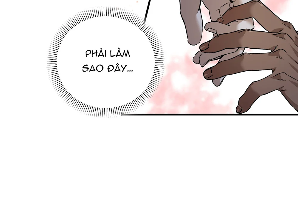 Đọc truyện ĐOÁ HOA GIỮA ĐÊM TRẮNG - Chapter 15