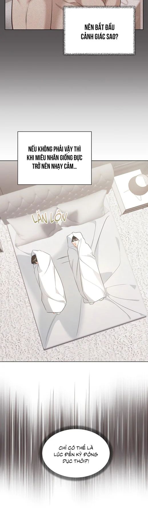 Đọc truyện LIỆU PHÁP TRỊ LIỆU MÈO - Chapter 19