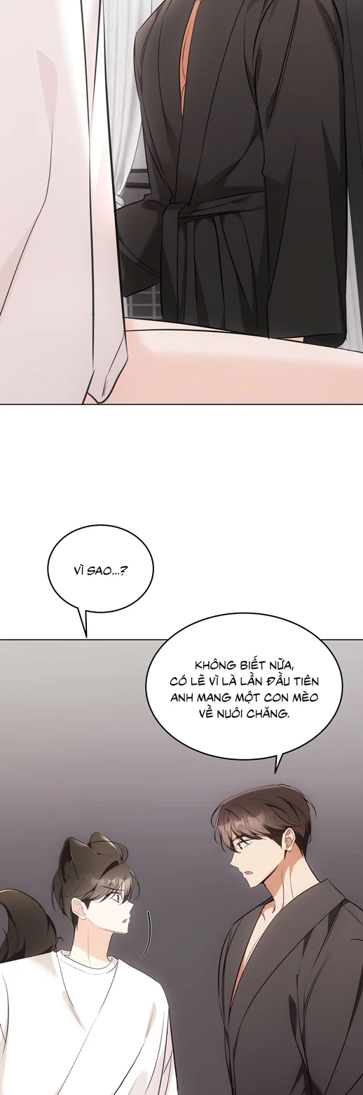 Đọc truyện LIỆU PHÁP TRỊ LIỆU MÈO - Chapter 19