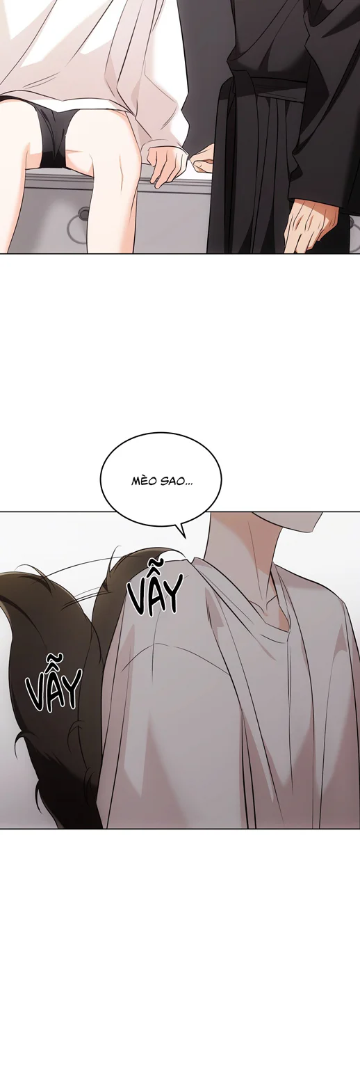 Đọc truyện LIỆU PHÁP TRỊ LIỆU MÈO - Chapter 19