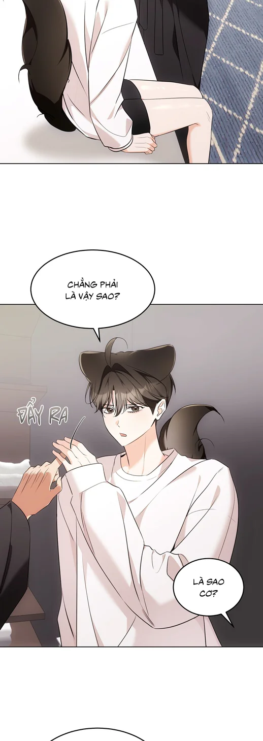 Đọc truyện LIỆU PHÁP TRỊ LIỆU MÈO - Chapter 19