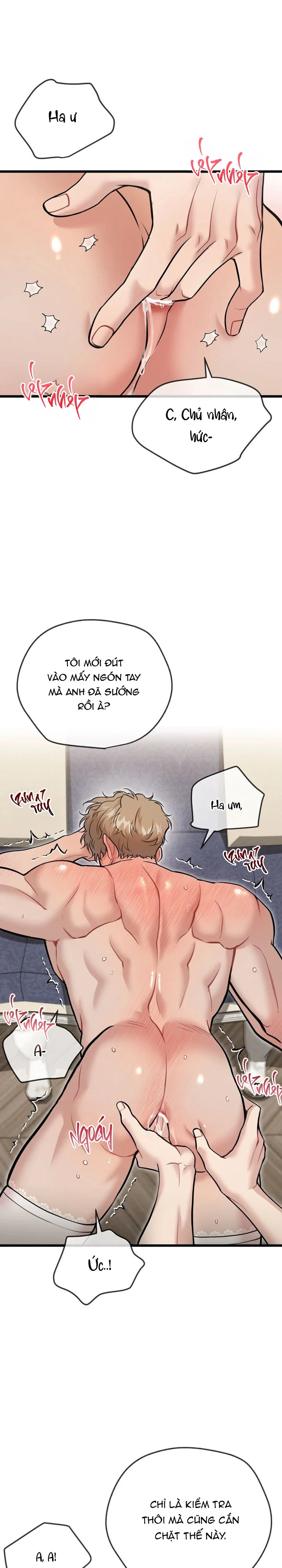 Đọc truyện HƯỚNG DẪN BDSM CƠ BẢN - Chapter 30