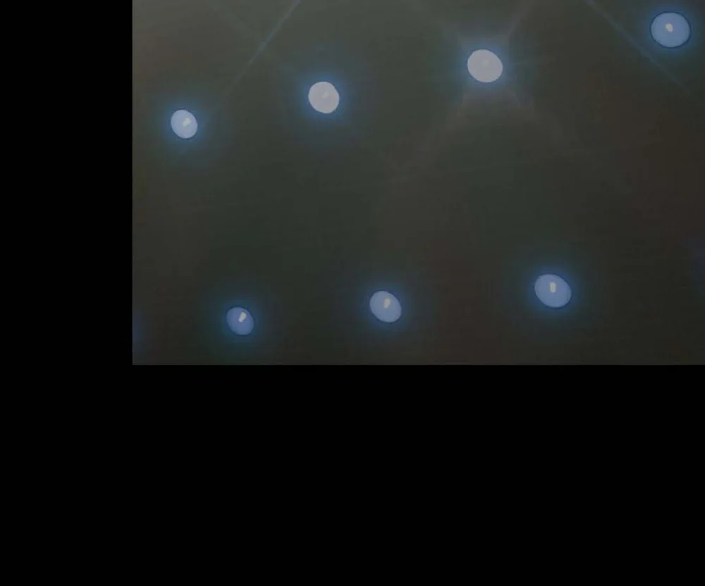 Đọc truyện MIGNON - Min Yong - Chapter 18