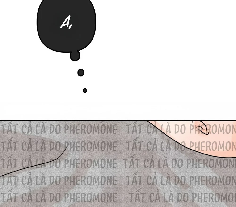 Đọc truyện Ranh Giới Mùi Hương - Chapter 34