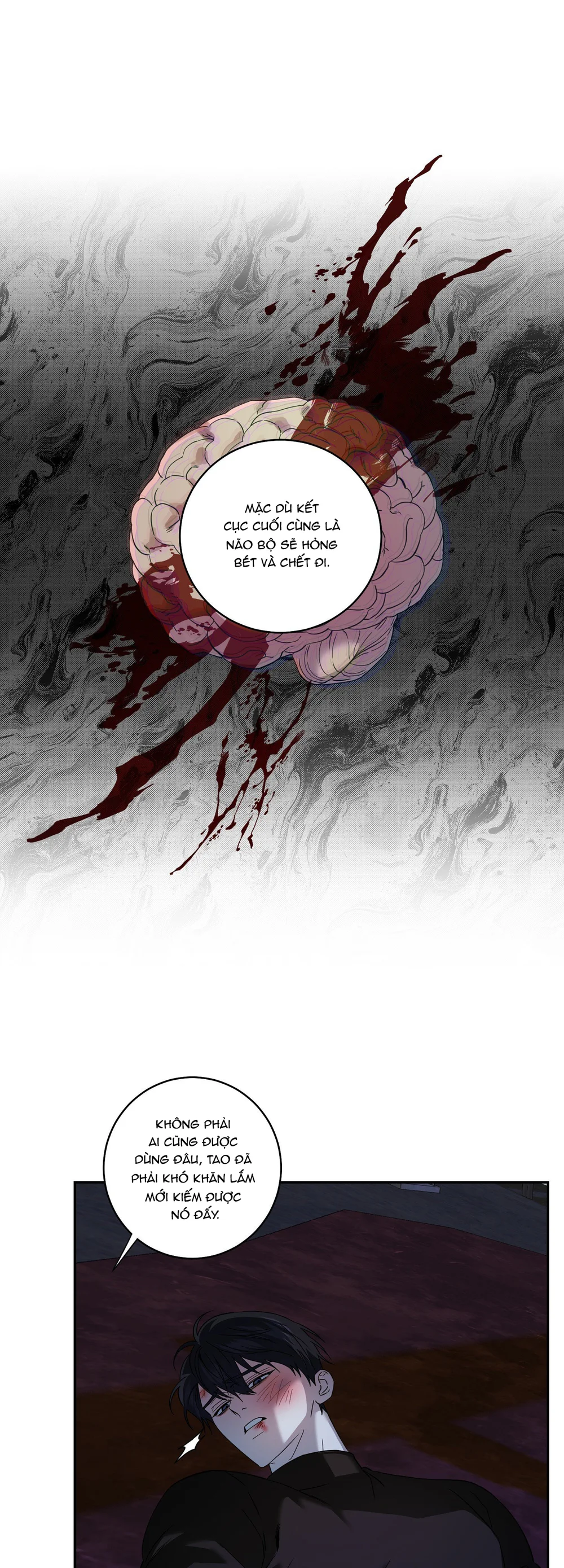 Đọc truyện MẢNH VỠ CỦA ÁNH TRĂNG - Chapter 21