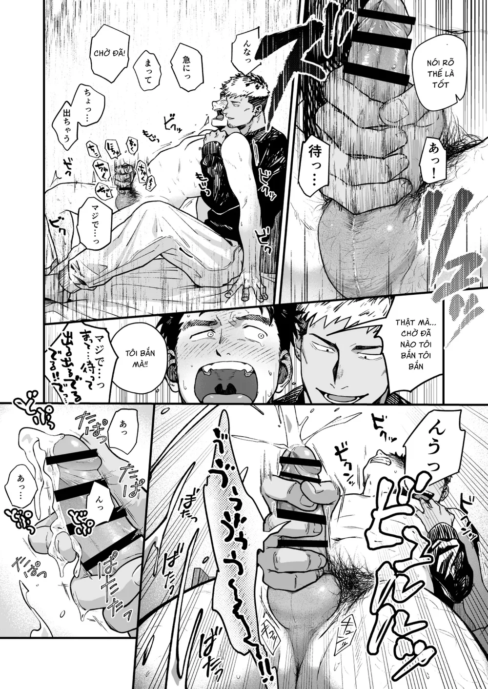 Đọc truyện Cưng mà nói - Chapter 311