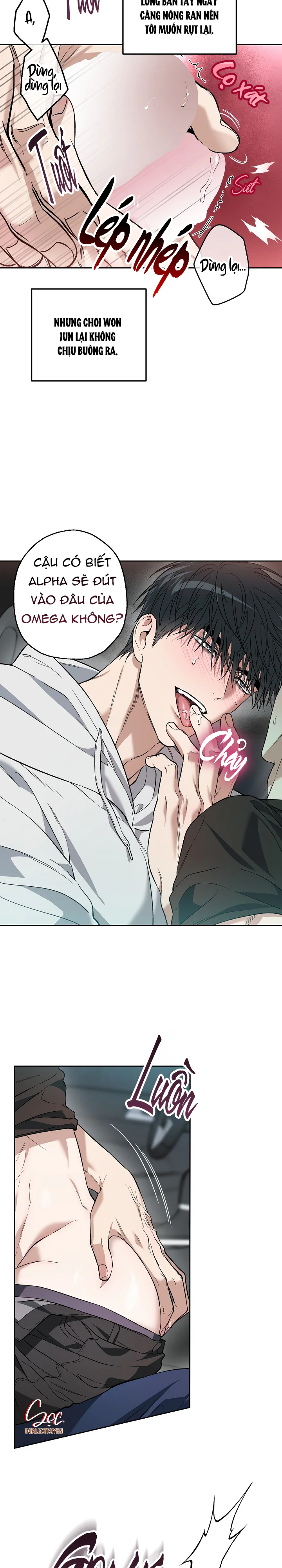 Đọc truyện (ABO) KẺ VÔ LẠI - Chapter 36