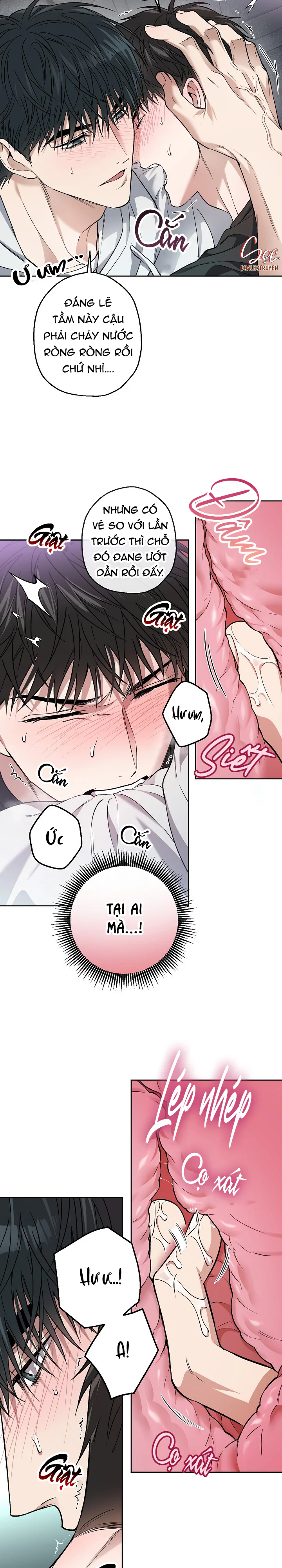 Đọc truyện (ABO) KẺ VÔ LẠI - Chapter 36