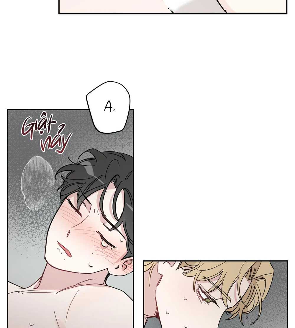 Đọc truyện Búp Măng Hư Và Đối Tác Hoàn Hảo - Chapter 5