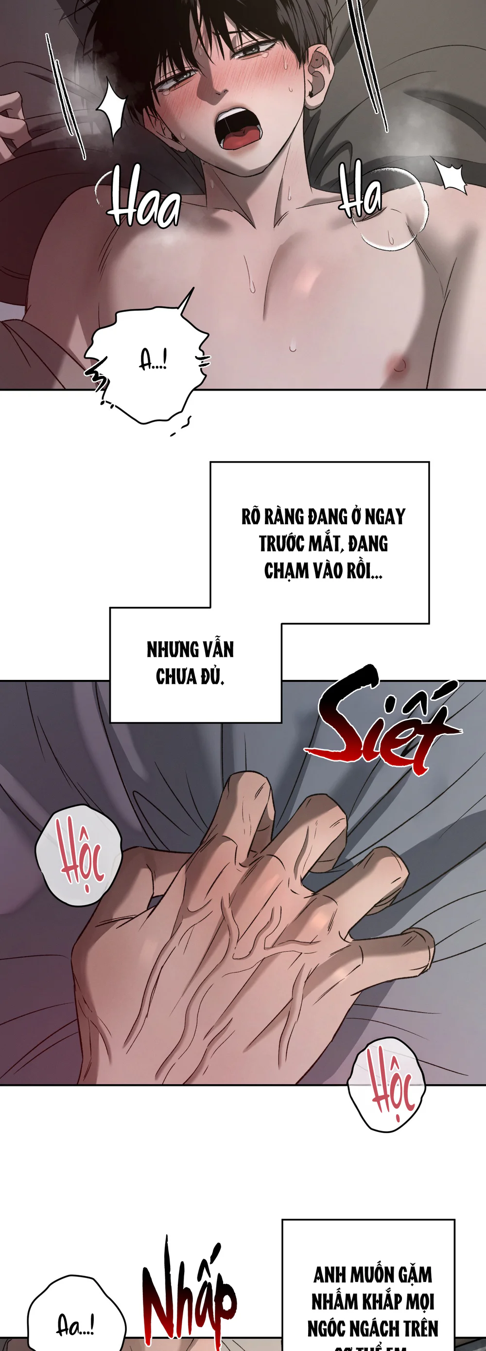 Đọc truyện (ABO) FEEL MY BENEFIT - Chapter 81