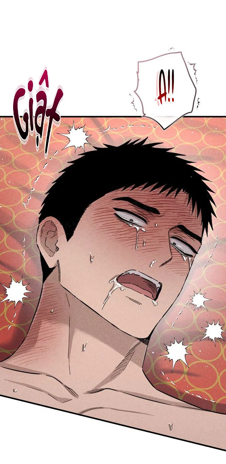 Đọc truyện KẺ SAY MÊ THÂN XÁC - Chapter 15
