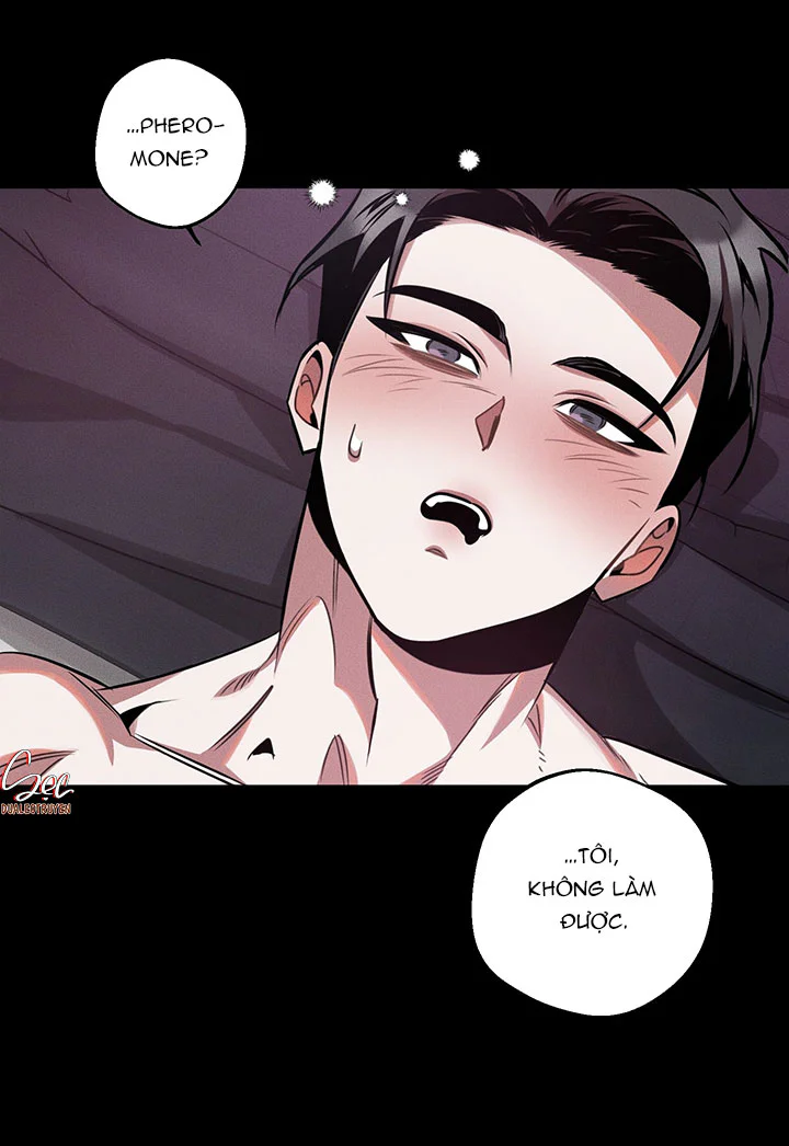 Đọc truyện Accidental baby - Chapter 13