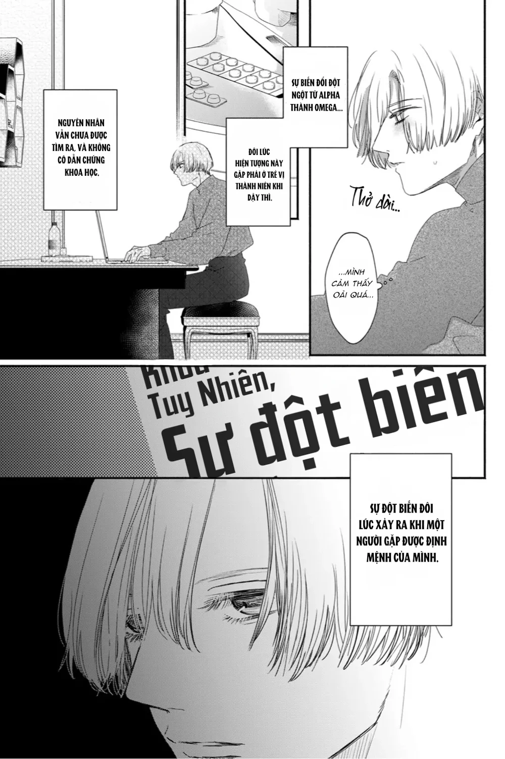 Đọc truyện Tình Yêu Méo Mó Dành Cho Omega - Chapter 4