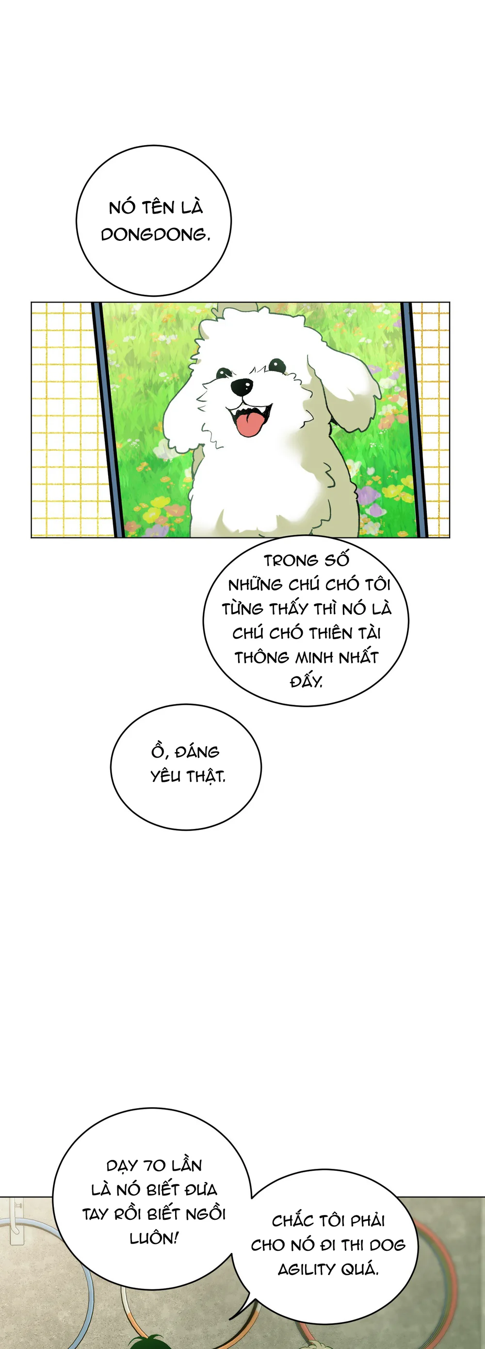 Đọc truyện (ABO) When Life Gives You Tomatoes - Chapter 8