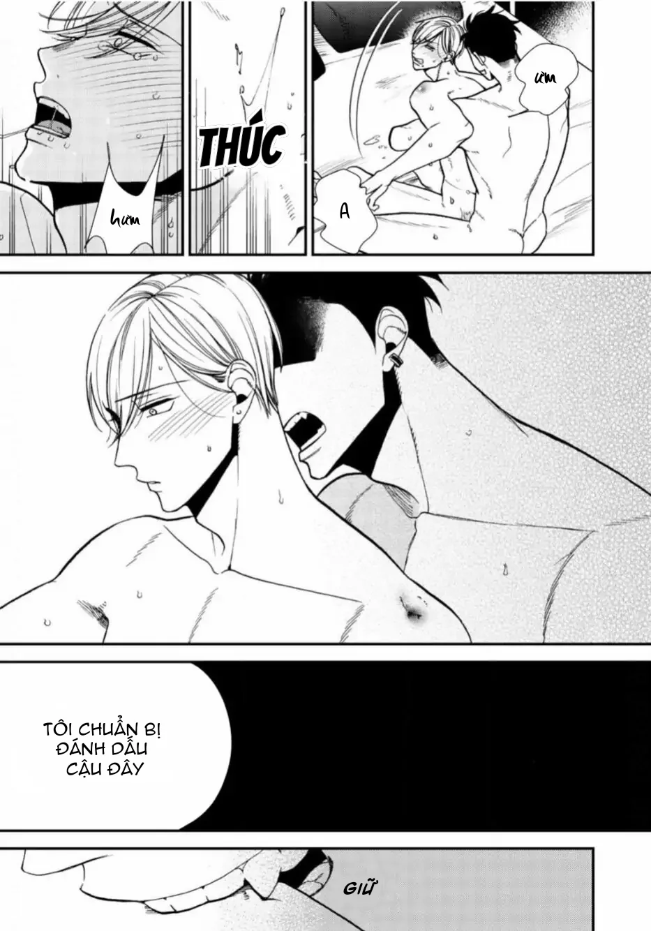 Đọc truyện Chống lại alpha - Chapter 24