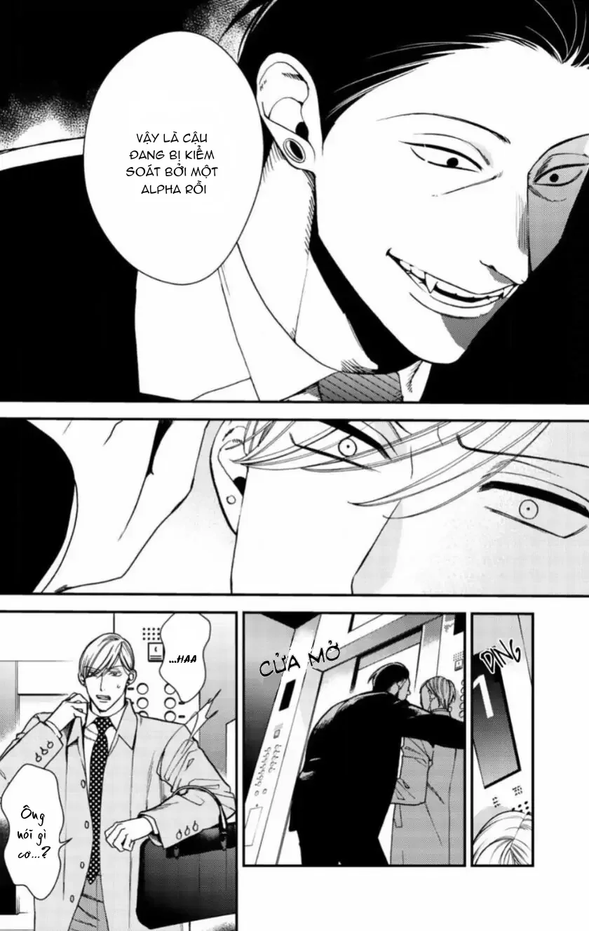 Đọc truyện Chống lại alpha - Chapter 24