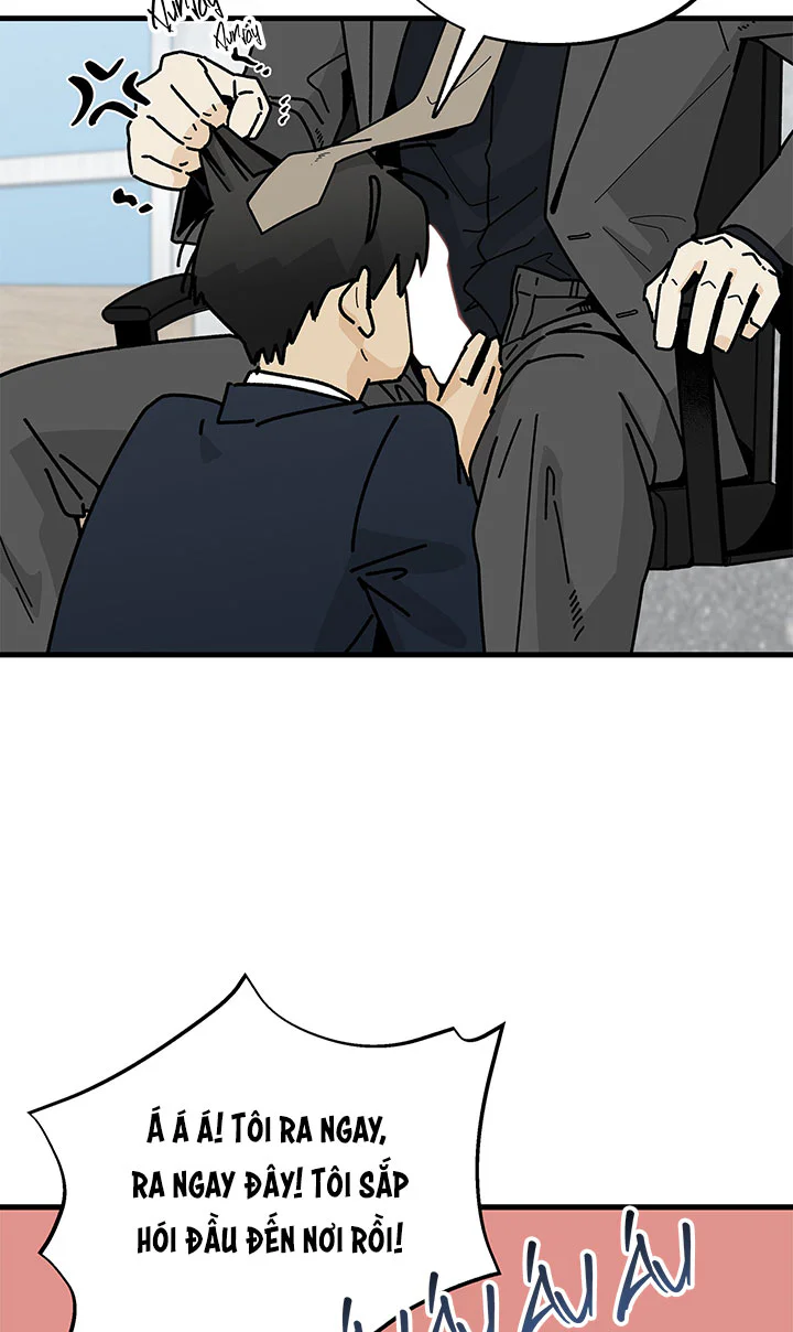 Đọc truyện OFFICE HERO - Chapter 10