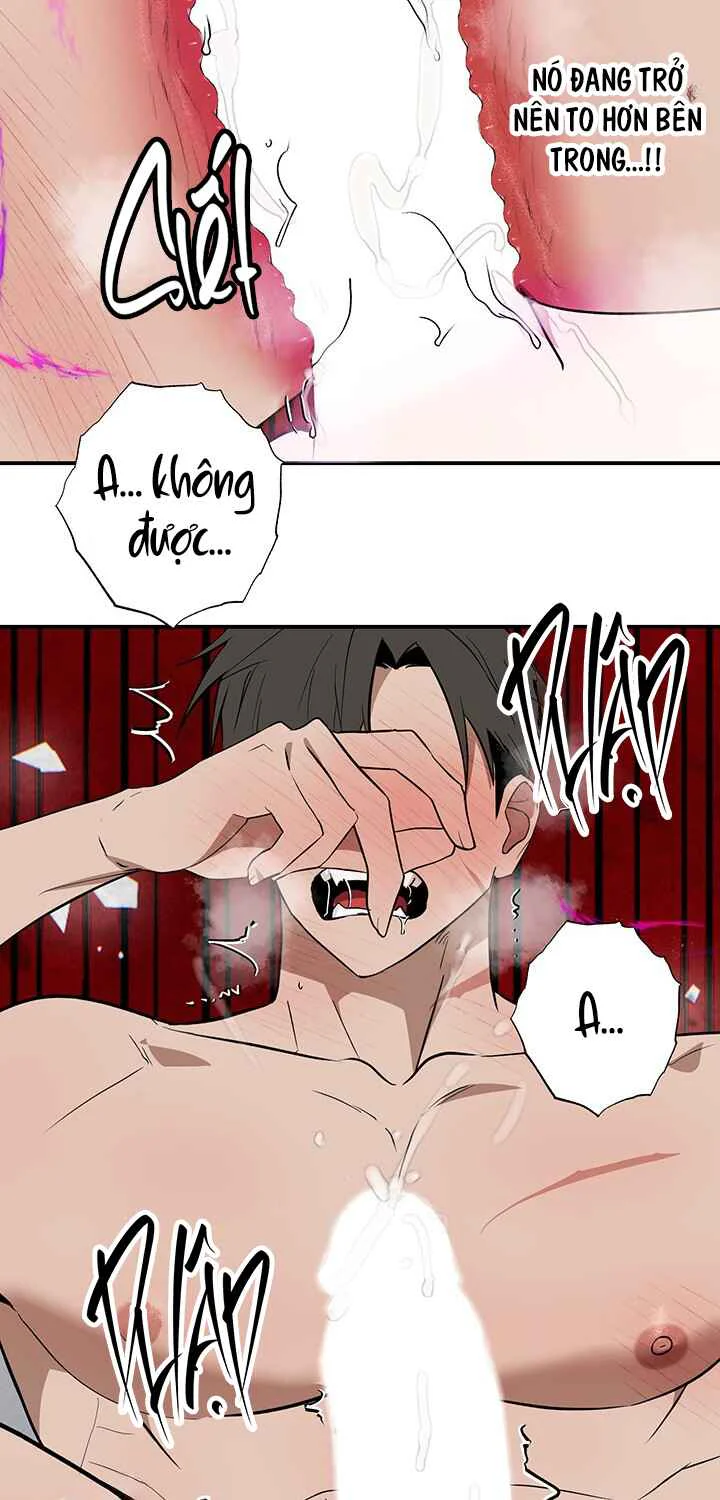 Đọc truyện DŨNG SĨ KHÔNG ĐƯỢC ĐI QUA LỐI ĐÓ - Chapter 29