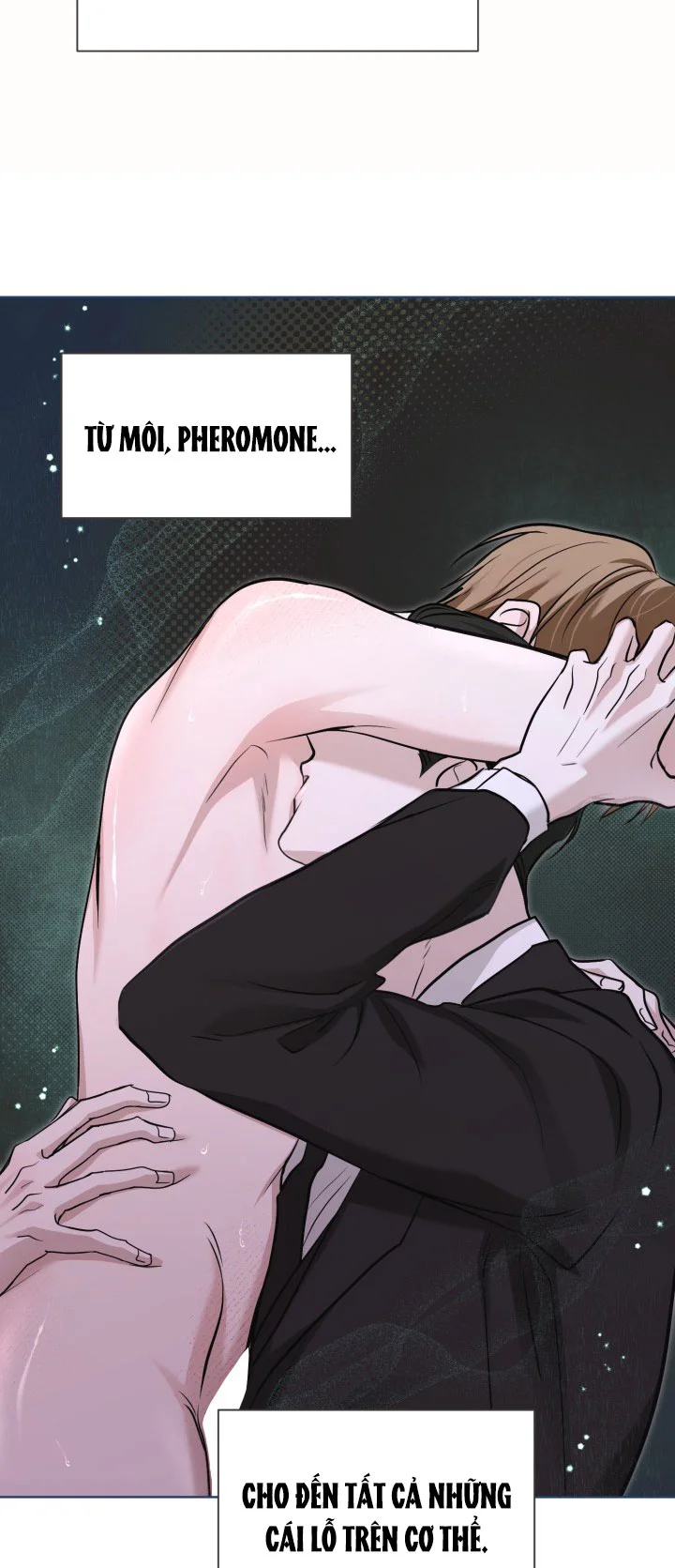 Đọc truyện TUYỂN TẬP ABO - MANG THAI NGẮN CỦA NHÀ SẸC - Chapter 74.1