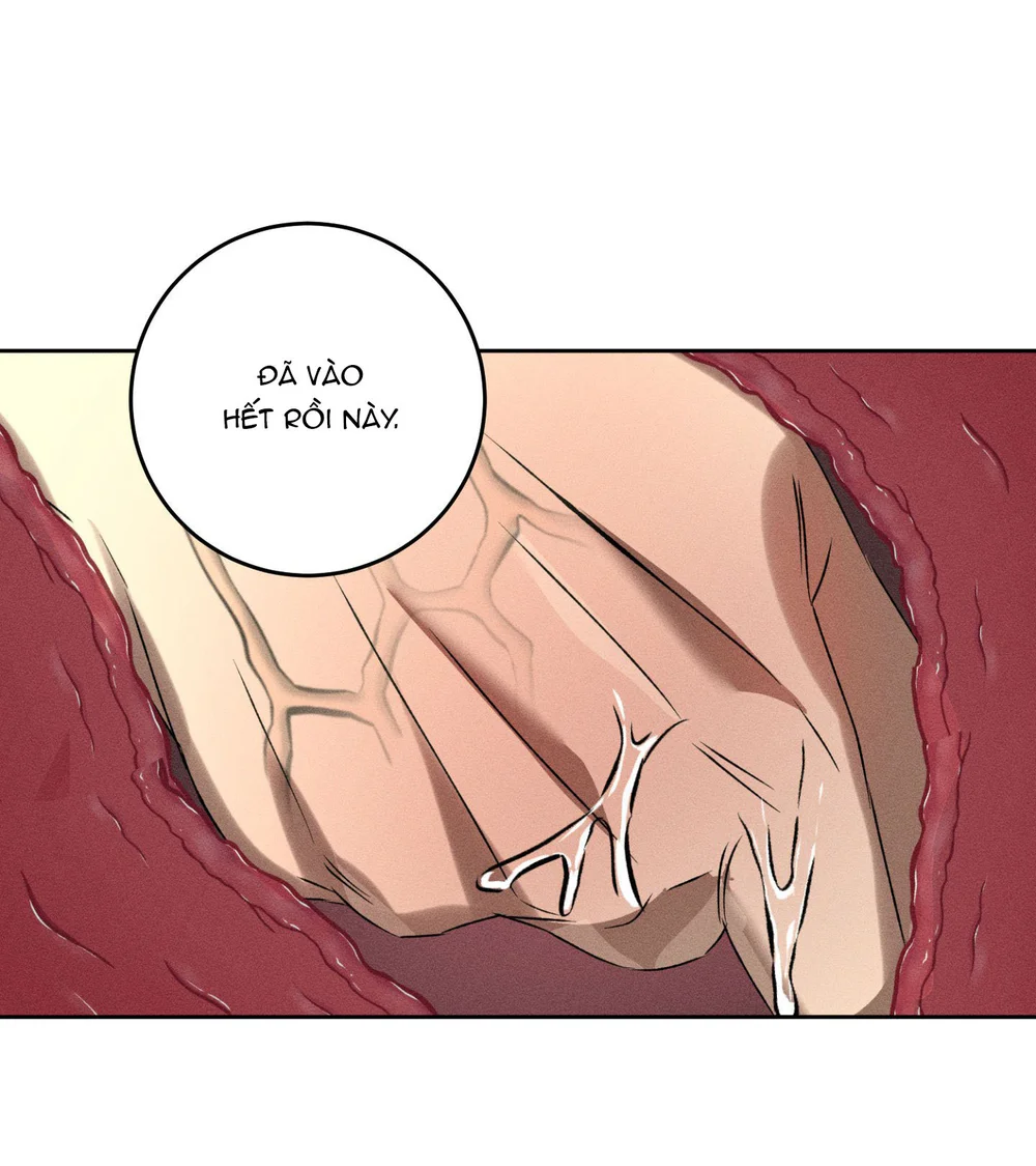 Đọc truyện ANH EM TƯƠNG TÀN - Chapter 17